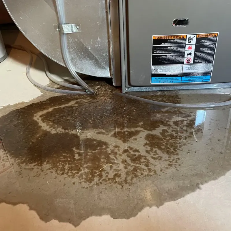 Pipe Burst and Leak Restoration in Farmington, NH